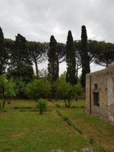 IMG-20190624-WA0013-kopie